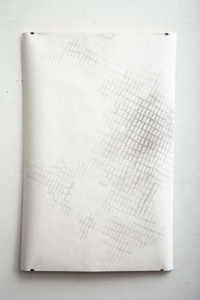 OhneTitel(AusDerSerie'Blaetterwald'),2022,BleistiftUndGraphitAufPapier,150x100cm_IMG_0032-1.jpg